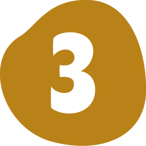 our-process-1